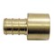 Apollo 1/2 in. Brass PEX Barb x 1/2 in. Female Copper Sweat Adapter Jar (40-Pack), 40PK APXFS1240JR - alternate 2